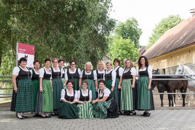 Lipizzaner trifft Lipizzanerdirndl _1