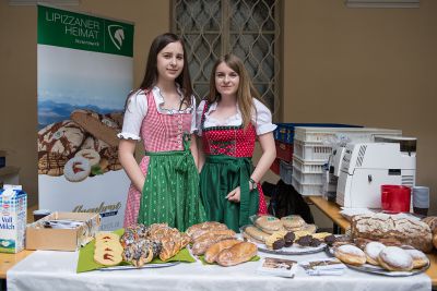 Lipizzaner trifft Lipizzanerdirndl _1