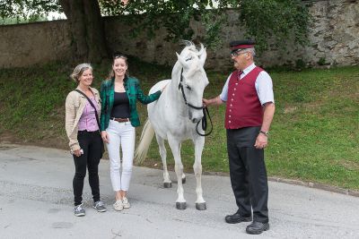 Lipizzaner trifft Lipizzanerdirndl _1