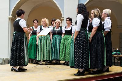Lipizzaner trifft Lipizzanerdirndl 2016