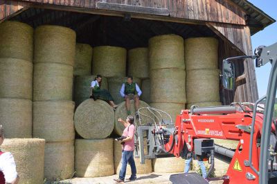 Making of - neue Lipizzanerkollektion_10