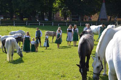 Making of - neue Lipizzanerkollektion_20