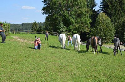 Making of - neue Lipizzanerkollektion_21