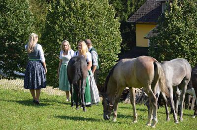 Making of - neue Lipizzanerkollektion_24