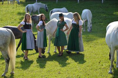 Making of - neue Lipizzanerkollektion_27