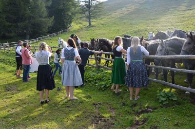 Making of - neue Lipizzanerkollektion_36